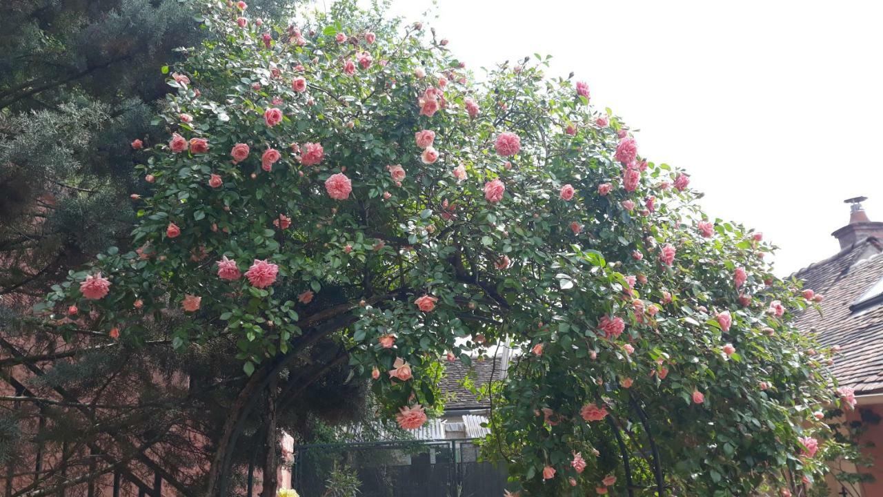 La Maison Rose: Lieu Atypique Hotel Nemours Exterior foto